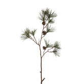 Branche de Pin enneigée